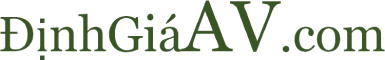 Định giá AV