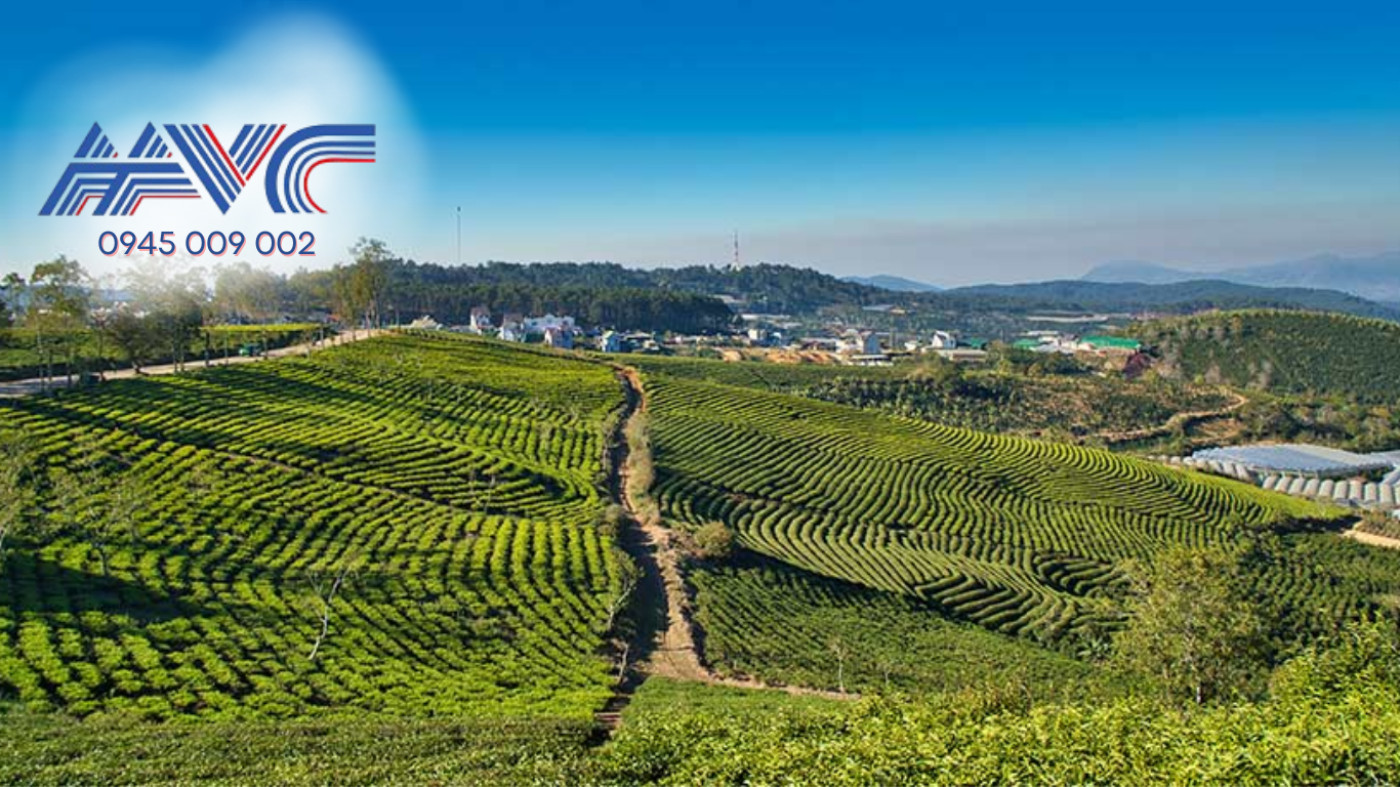 LAND USE RIGHTS IN VIETNAM (2025) — CLEAR, FAST, AND FULLY COMPLIANT